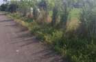 Teren de vanzare 1000m - 1