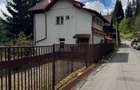 Apartament la curte Predeal - 1