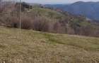 Vand teren( ideal pentru cabana sau casa de vacanta ) - 3