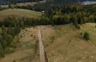 Teren 800 mp (8 ari) Pasul Tihuta, Piatra Fantanele