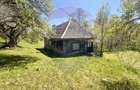 Casa traditionala,teren 6.039 mp DESESTI Maramures