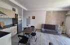 Complex rezidential Cosmopolis, inchiriere ap. 2 cam mobilat - 9