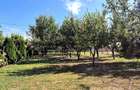 Teren intravilan 1.200+ mp | Livada & Acces privat 7m | Salcioara - Jurilovca