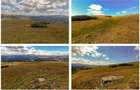 teren intravilan Padina Peștera 628mp Cocora-Babele zona alpină înaltă - 7