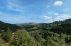 Teren de 10000 mp, în Răchițele - 9