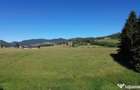 Teren in Bucovina! La Munte! De ! 0727817187 - 6