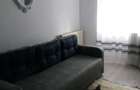 Apartament cu 2 camere nedecomandat în Poiana Țapului - 9