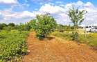 Teren intravilan Buftea, Crevedia, Manastirea, 582mp, Proprietar, 0%comision - 1