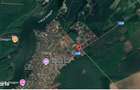 Teren intravilan de vanzare in Snagov, 995 mp, Langa Padure! - 2