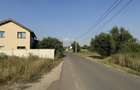 Teren intravilan Domnesti/Clinceni - 3