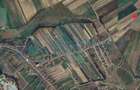 Gaminvest-Teren de vanzare, Rontau, Bihor V3726 - 1