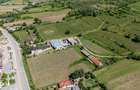 Crama Premium De Vanzare -60 Ha- Conac Istoric- Podgoria Dragasani