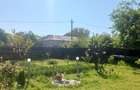 Casa de vanzare Comuna Viisoara-Judetul Teleorman - 20