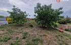 Casa individuala de vanzare cu 5 camere si teren de 2543 mp - Izvin - 7
