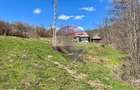 Teren 7,495mp Barsana / Valea Muntelui - 4