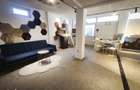 Vand/Schimb Spatiu Comercial 125mp Str. Ilie Petre Chiajna - 9