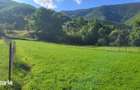 Teren de 1600 mp, în Râu Sadului - 4