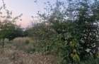Teren Intravilan De Vanzare Robanesti, Dolj | 5.000 Mp
