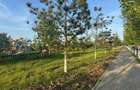 Teren intravilan 450 mp in zona parcului din Oras Titu oi - 3