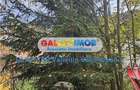 Casa 3 Camere Predeal COD 318