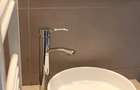 Proprietar inchiriez 2/3 stradal - 3