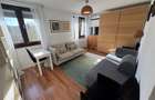 Apartament cu 2 camere de inchiriat Parcul Circului pet friendly - 16