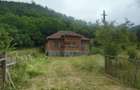 Teren, padure si casa in Dumbrava de Jos, jud. Hunedoara - 2