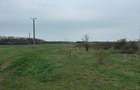 Teren intravilan industrial 5000 mp - 3