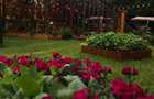 Spatiu  comercial -Parc Herastrau - 9