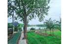 Refugiul tău verde în inima naturii, colt de rai- Agent exclusiv comision 0 - 1