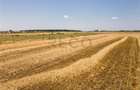 RECO Teren industrial in Nojorid la doar 6km de Oradea - 4