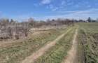 Trestieni - Ulmi, vanzare teren 1.663mp, intravilan - 11