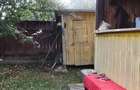 Vand casa in sat Fodora - 5