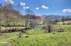Teren 7,495mp Barsana / Valea Muntelui - 3