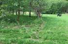 Teren rural de vanzare - electricitate ?i apa - 3