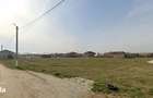 DOMNESTI - 5,200 M2- Strada Campul cu Flori - 6