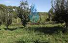 3240mp teren intravilan , Barnova-Iasi. - 3