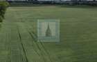 Teren intravilan 50000 mp, cu PUZ, Aprobat - zona Halchiu... - 17