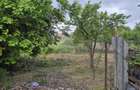 Casă cu 5 camere cu Teren 1870 Mp în Lenauheim - 1