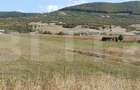 Teren 49 Ari, partial intravilan 13 ari, cu deschidere la DN17, Sieu M - 4