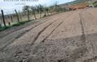 Casa 5 Camere, Teren 1600mp Zorlentu Mare - 4