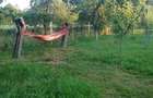 Casă cu 2 camere cu Teren 1800 Mp în Bumbești-Pițic - 2