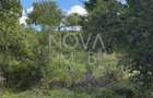 Teren intravilan - Sat. Rod - Tilisca - 1