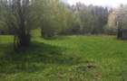 Teren de vanzare in orasul Aninoasa, judetul Hunedoara - 2