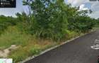 Teren intravilan 1084 mp, Unirea, la DN 3B, 2 ie?iri, 150 m de Borcea