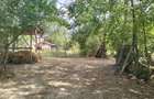 Teren 4975 mp situat in intravilanul satului Belciug, Dragan - 6