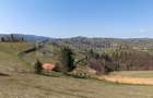 Teren Intravilan 3.791 mp | Priveli?te Panoramica Superba | Poiana Mar - 11