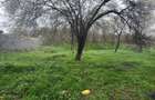 Oportunitate!!! Casa De Vanzare In Calnic La 35.000 Euro - 2