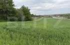Teren intravilan, in localitatea Bobota in suprafata de 12.500 mp - 2