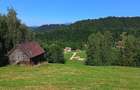 Teren de 8000 mp, în Bran - 9